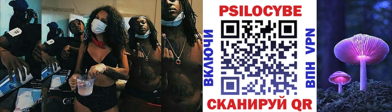 площадка как зайти  Тогучин  Псилоцибиновые грибы Psilocybine cubensis 
